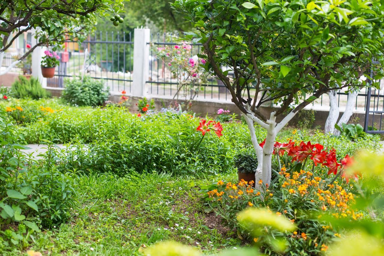 Апартаменты Apartment Milica Петровац-5