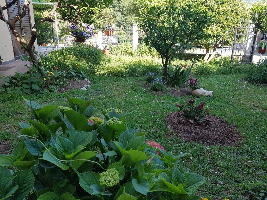 Апартаменты Apartment Milica Петровац-63