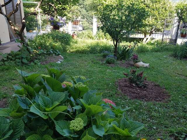 Апартаменты Apartment Milica Петровац-62