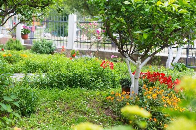 Апартаменты Apartment Milica Петровац-66